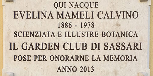 I diversi messaggeri dell’Universo