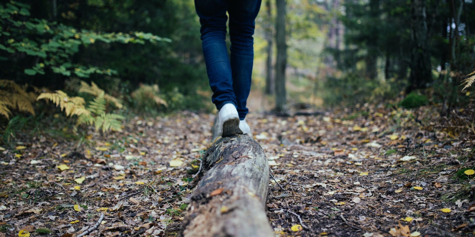 PASSI VERSO LA NEUTRALITÀ CLIMATICA