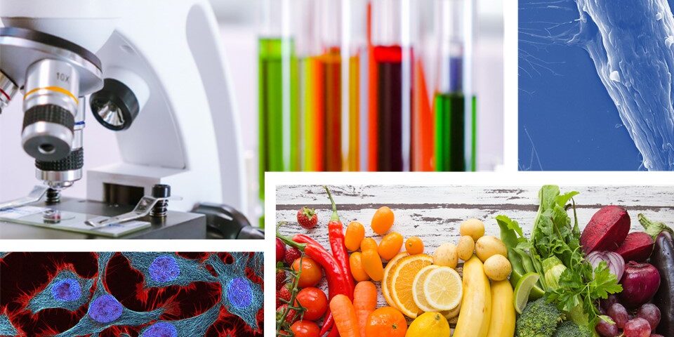 Alimenta la salute: mangia a colori