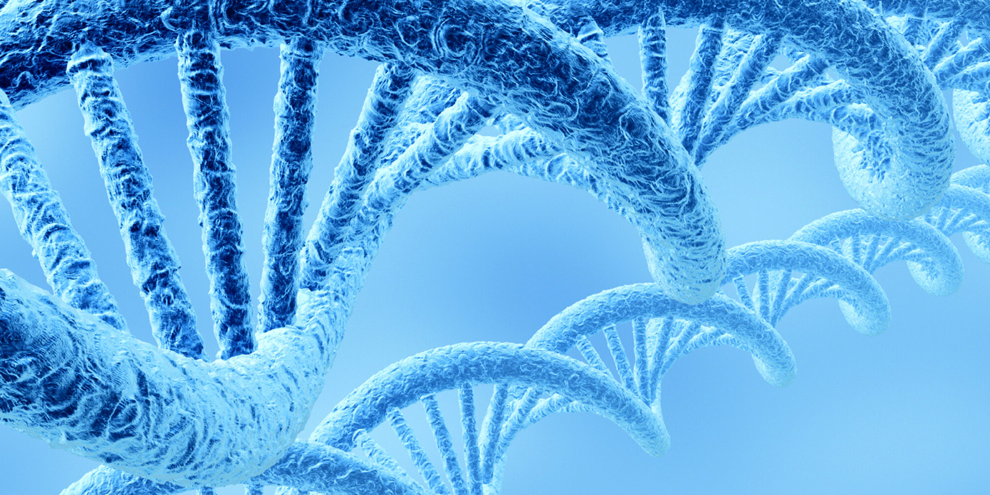Diversi da chi? il DNA e il codice comune della vita
