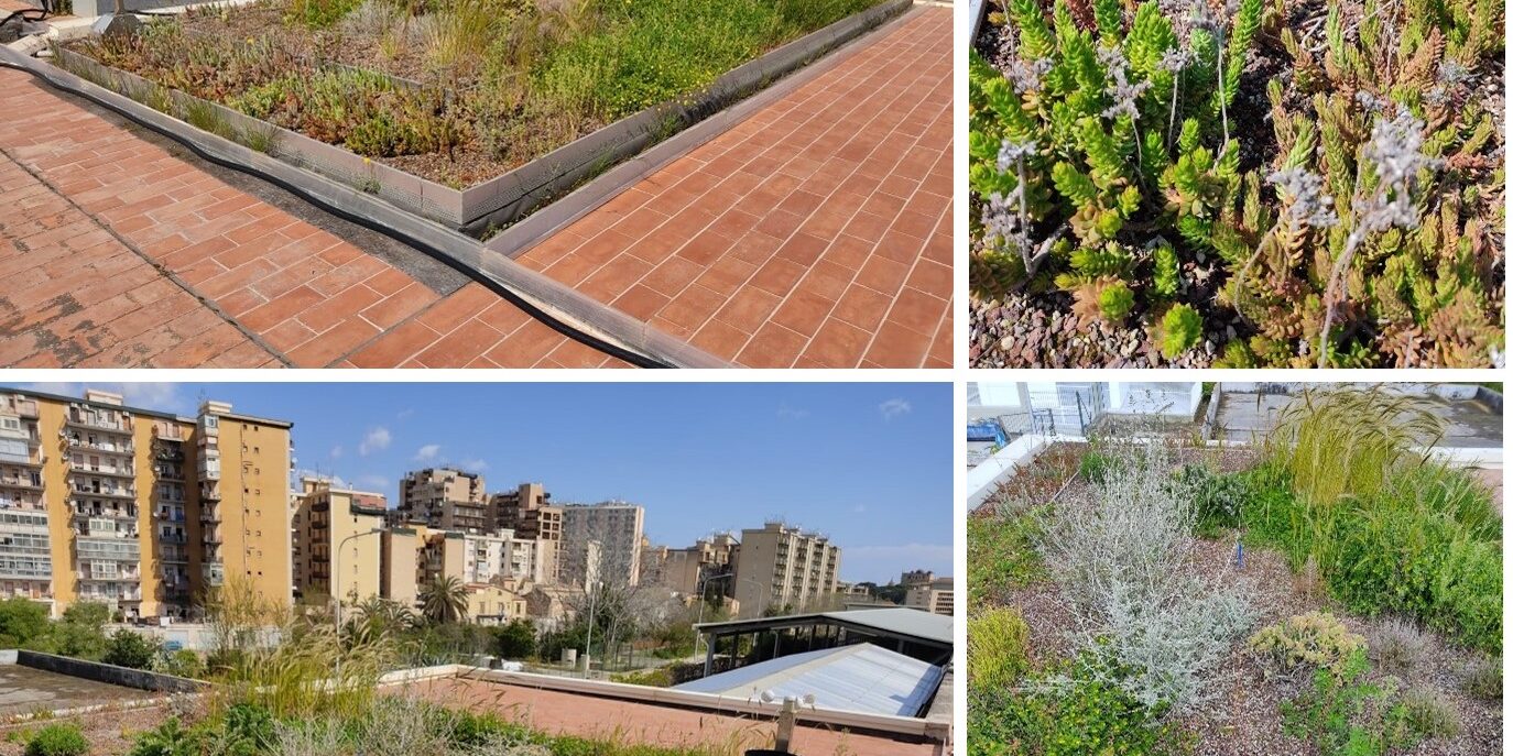 Modello didattico di tetto verde (green roof) con tecnologia polder