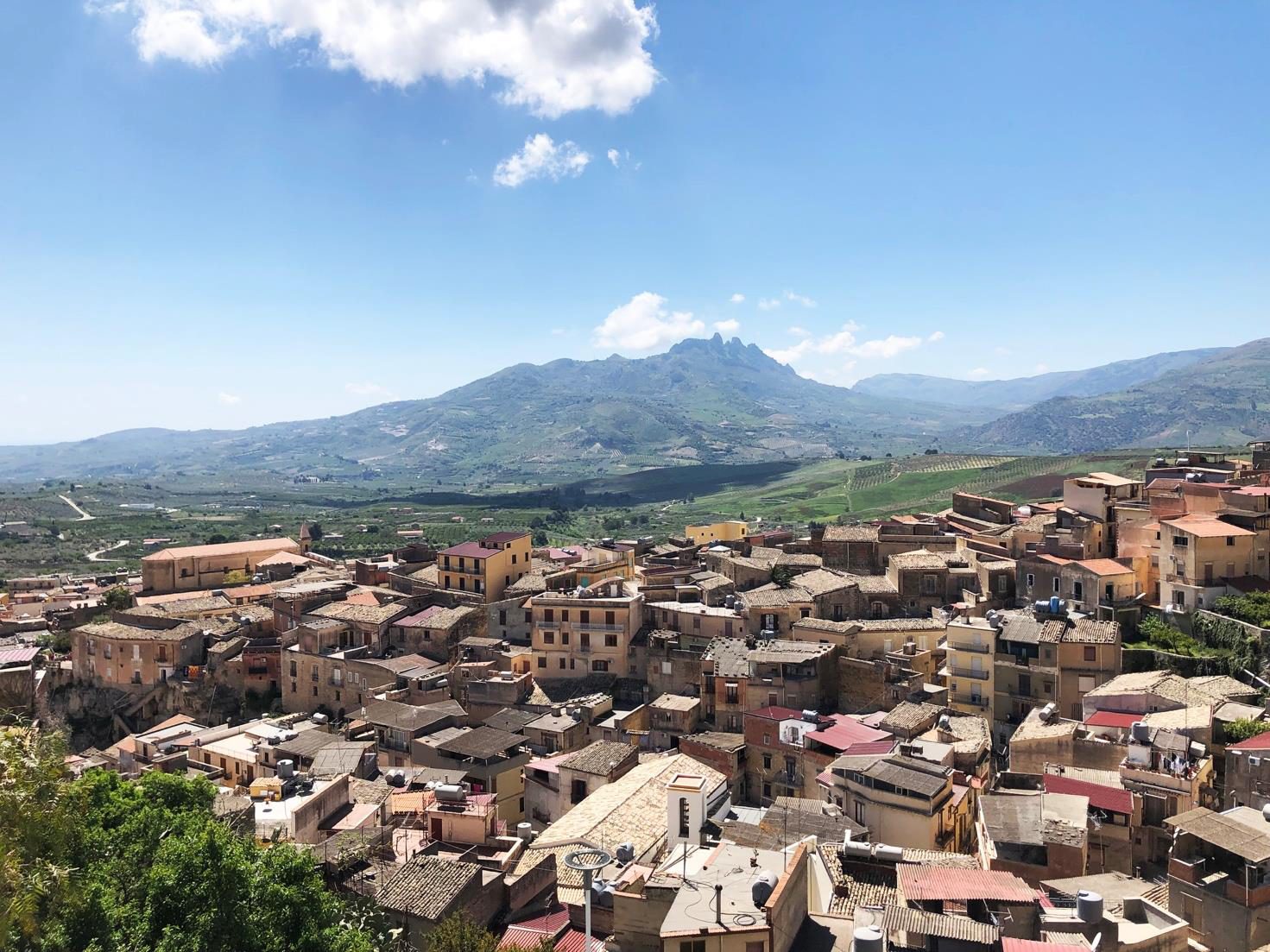 Università degli Studi di Palermo