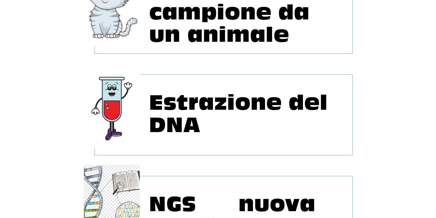 Conoscere la biodiversità siciliana – Scuola di Dottorato Unipa