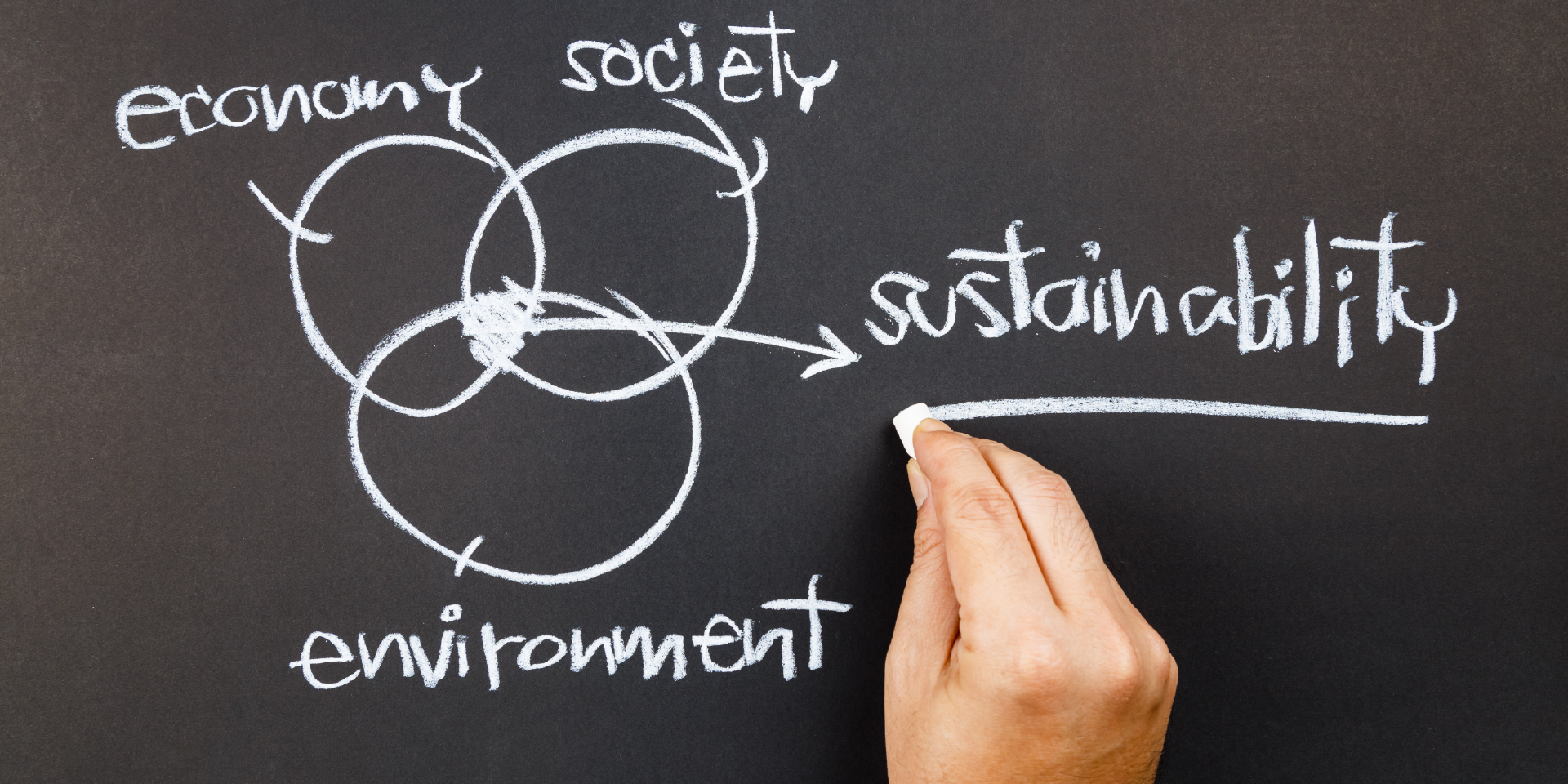 ECO WORDS: LE PAROLE DELLA SCIENZA CHE RACCONTANO LA SOSTENIBILITÀ