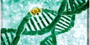 Innovazione nella prevenzione oncologica – Scuola di Dottorato Unipa