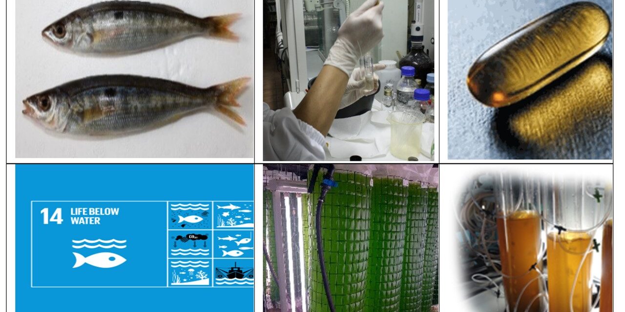 Produzioni marine biobased, circular economy e agenda 2030