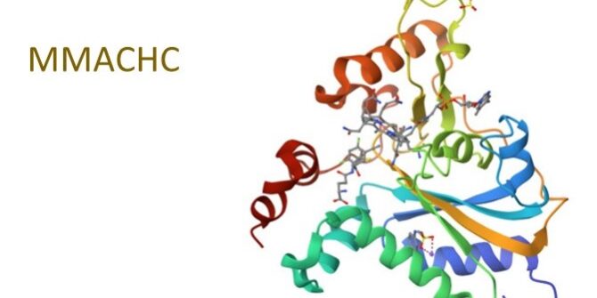 L’importanza delle mutazioni nelle patologie: la fisica incontra la biologia