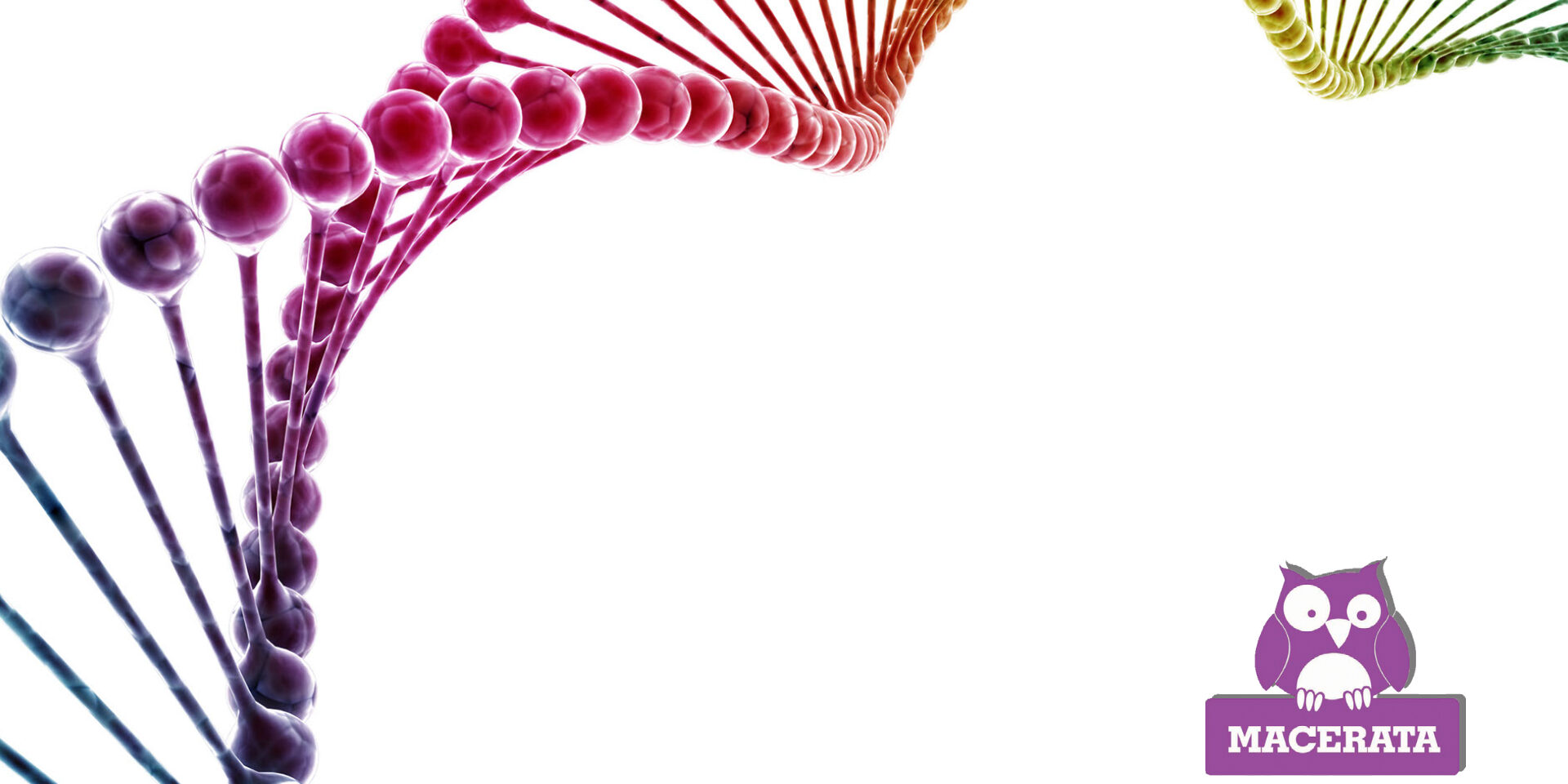 Il presente e il futuro dell’applicazione del DNA in ambito forense