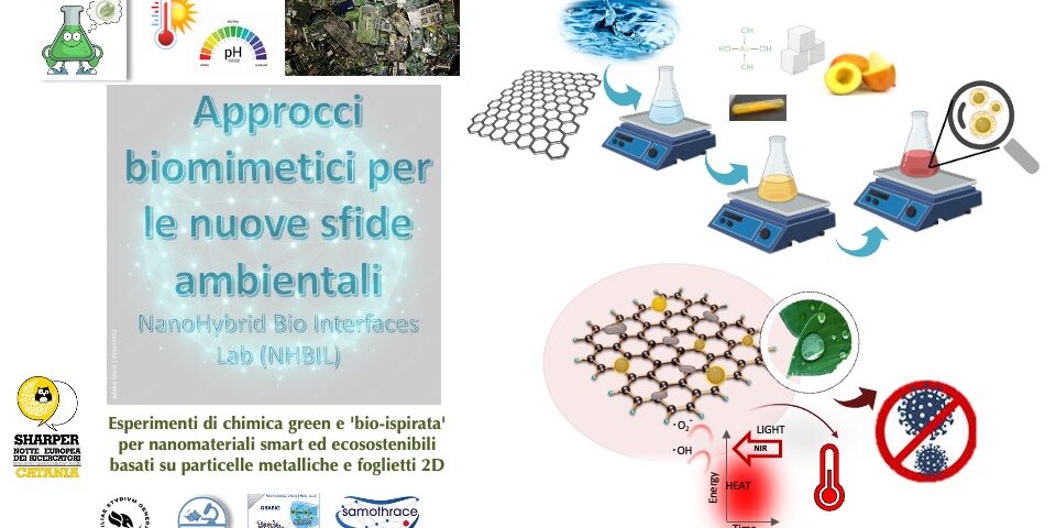 Approcci biomimetici per le nuove sfide ambientali