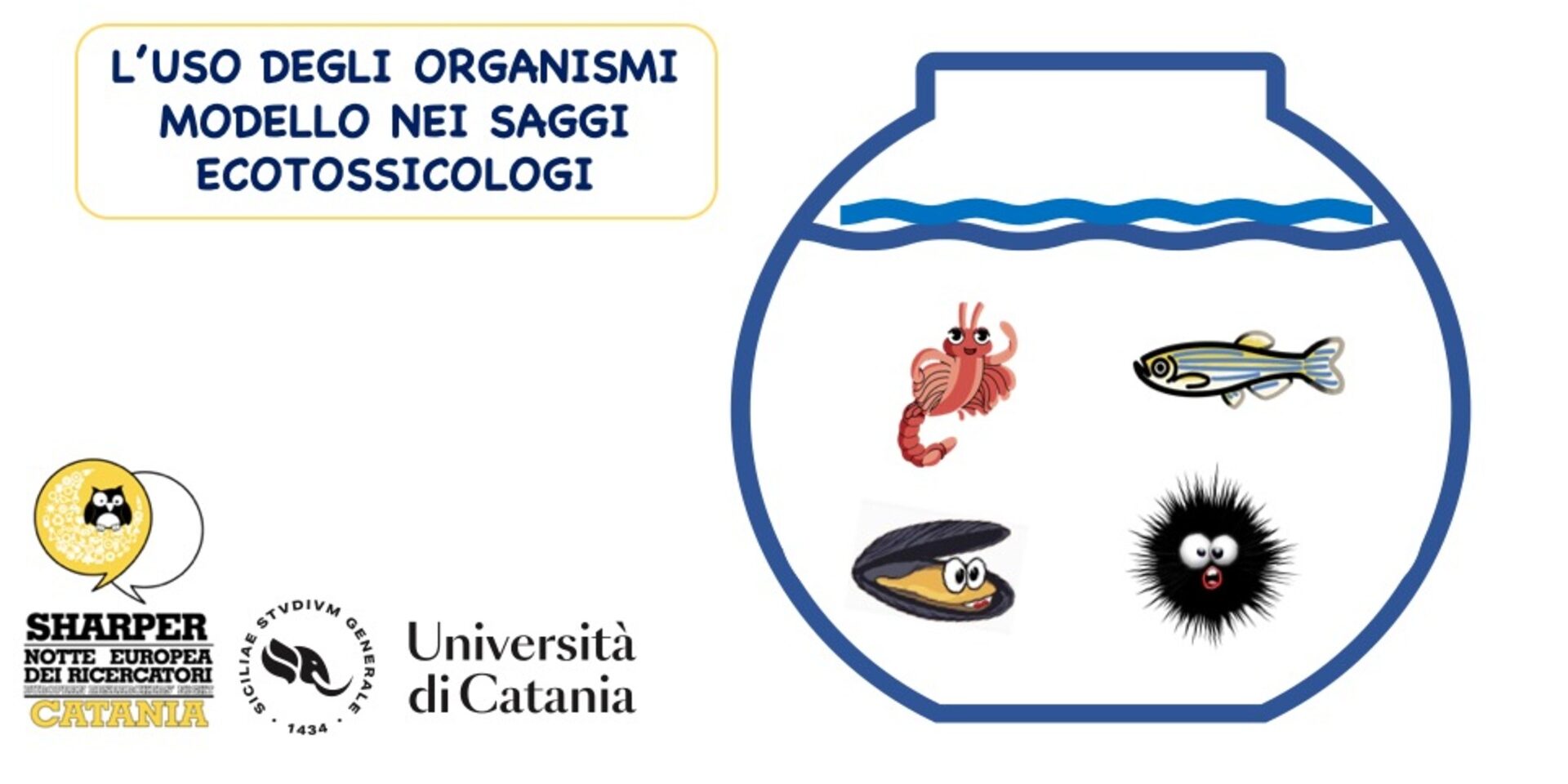 L’uso degli organismi modello nei saggi ecotossicologici