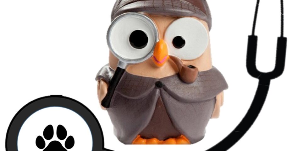 TRACCIA L’IDENTIKIT ANIMALE!