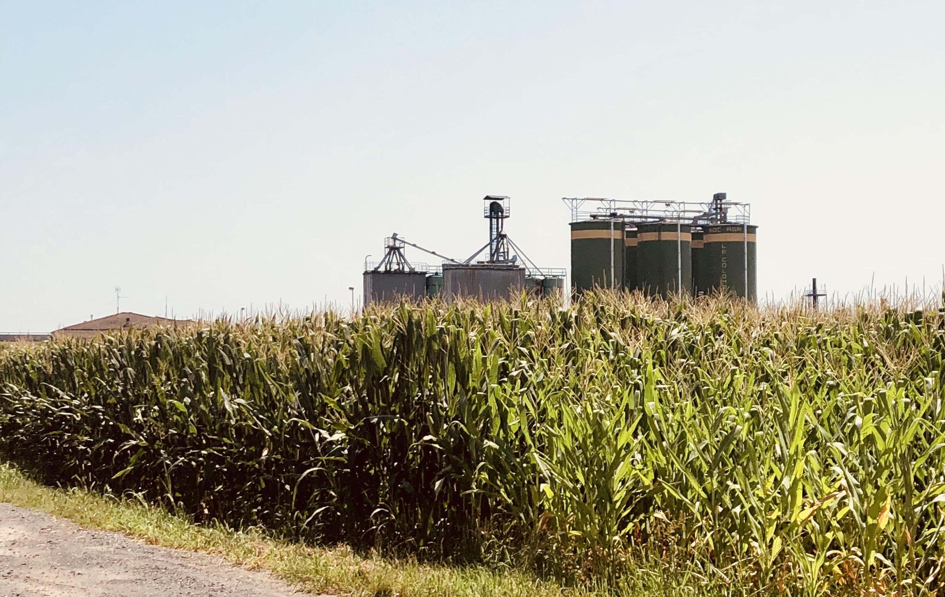 Future Farms: sperimentazioni tipologiche ed ecologie del paesaggio