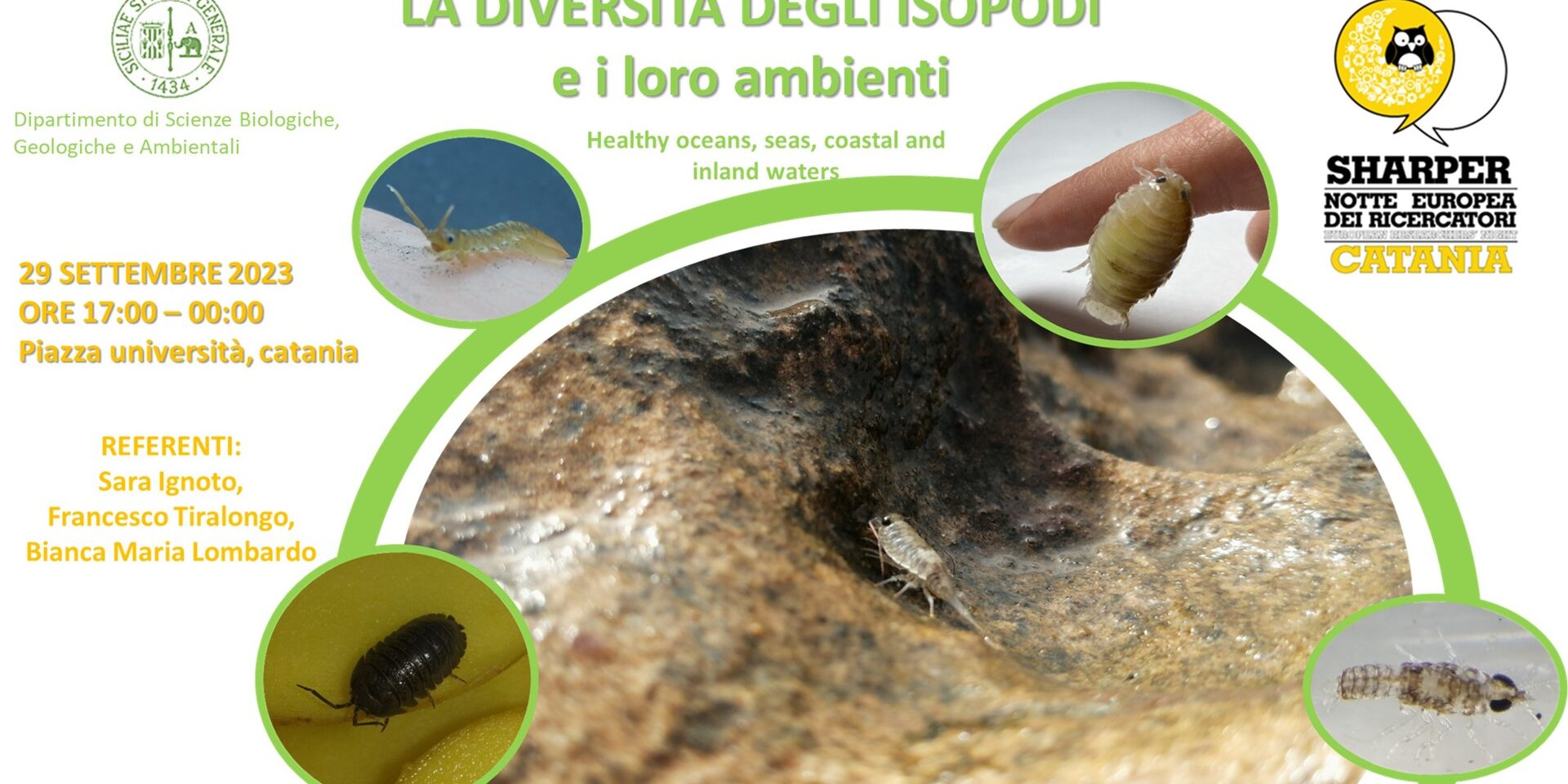 La diversità degli isopodi e i loro ambienti