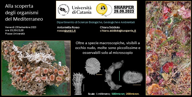 DSBGA - Unict, Università di Catania