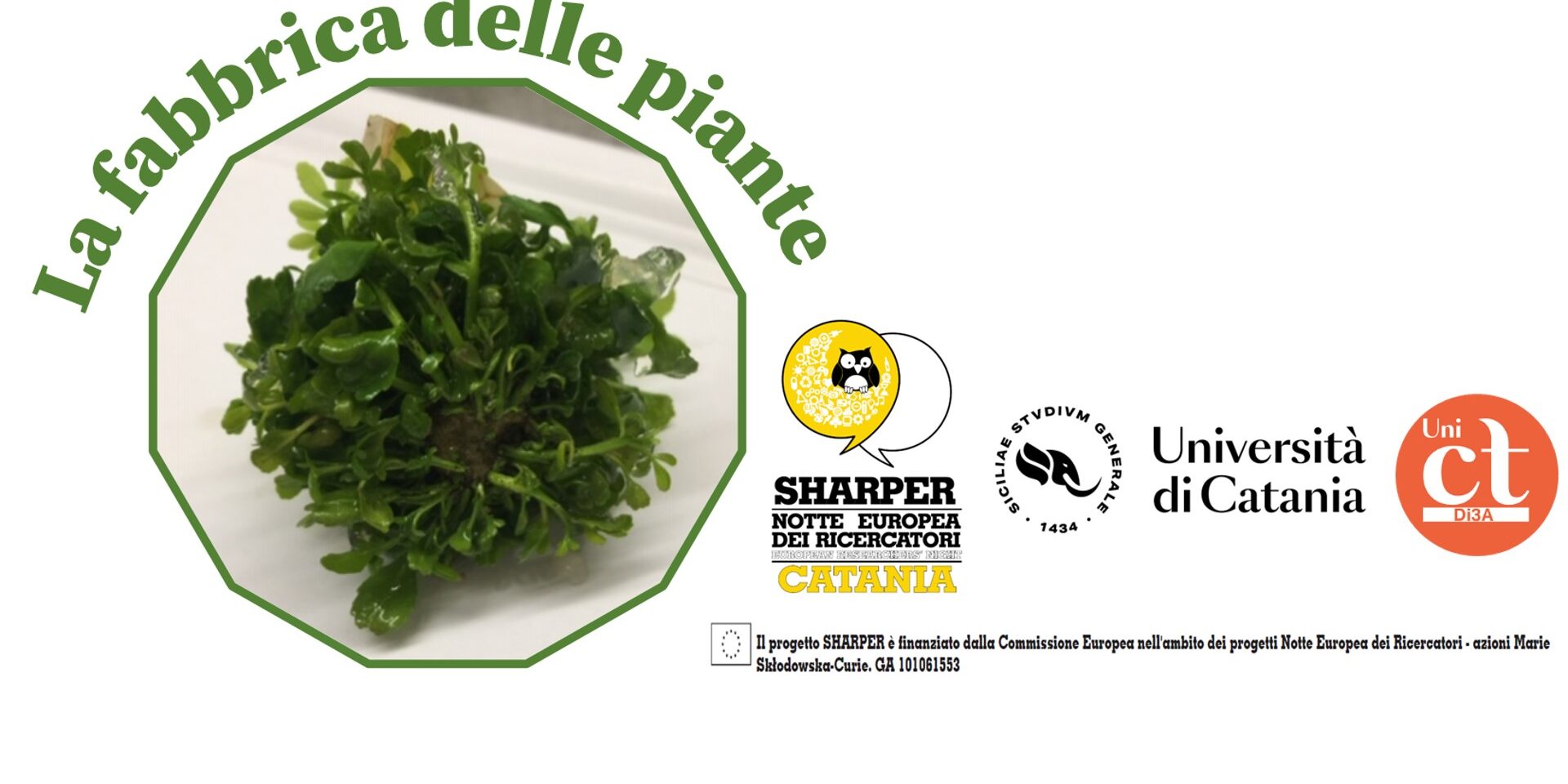 La fabbrica delle piante