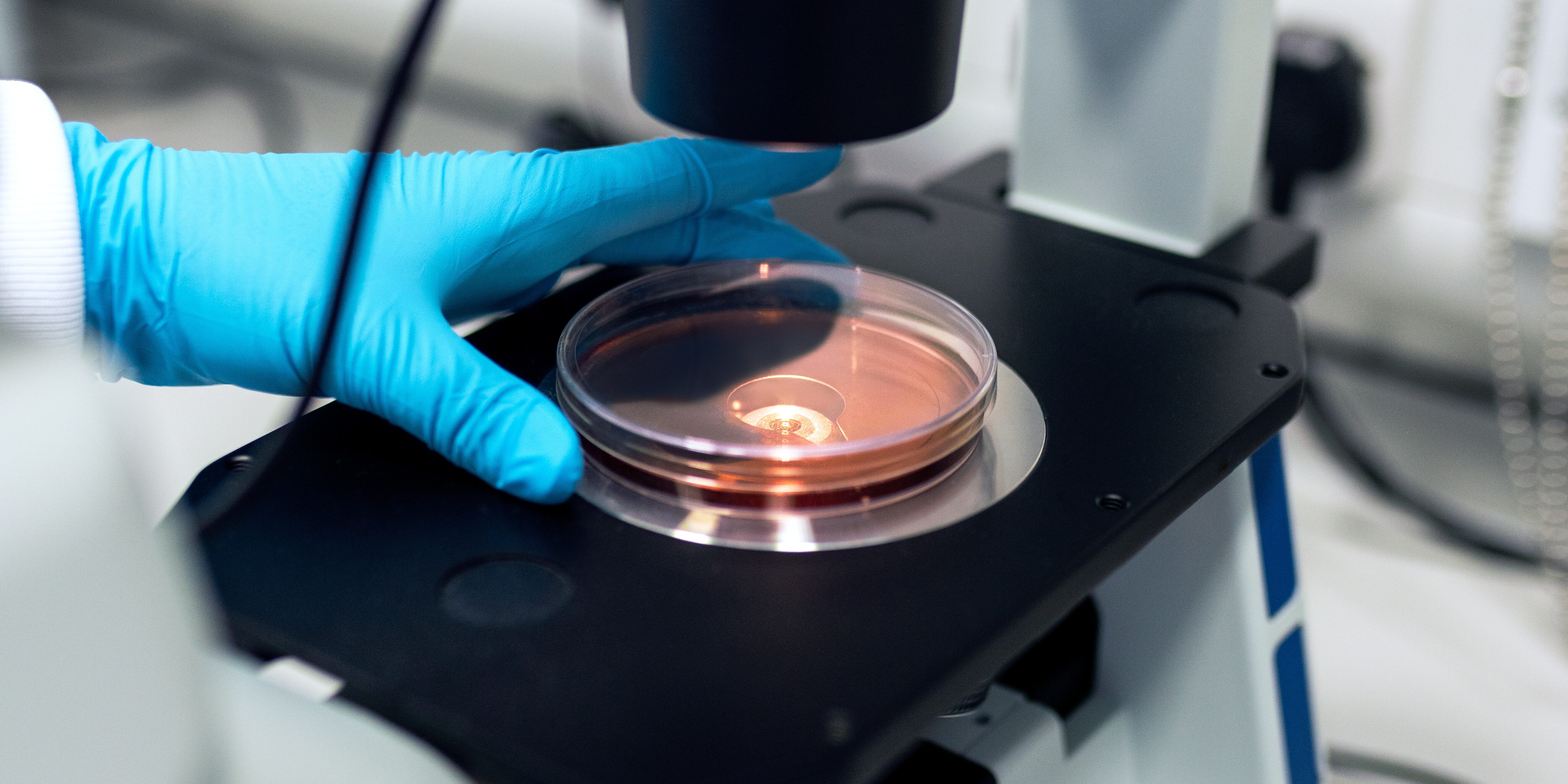 CANCRO – Il male del secolo?