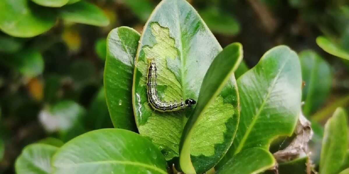 Biodiversità risorsa per valorizzare il territorio
