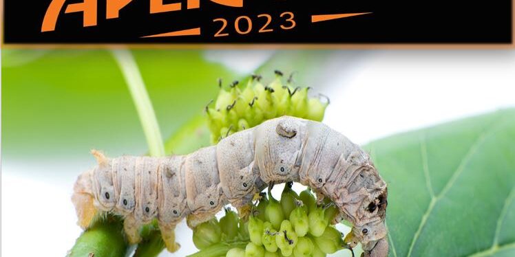 I segreti della proteina estratta dal baco da seta