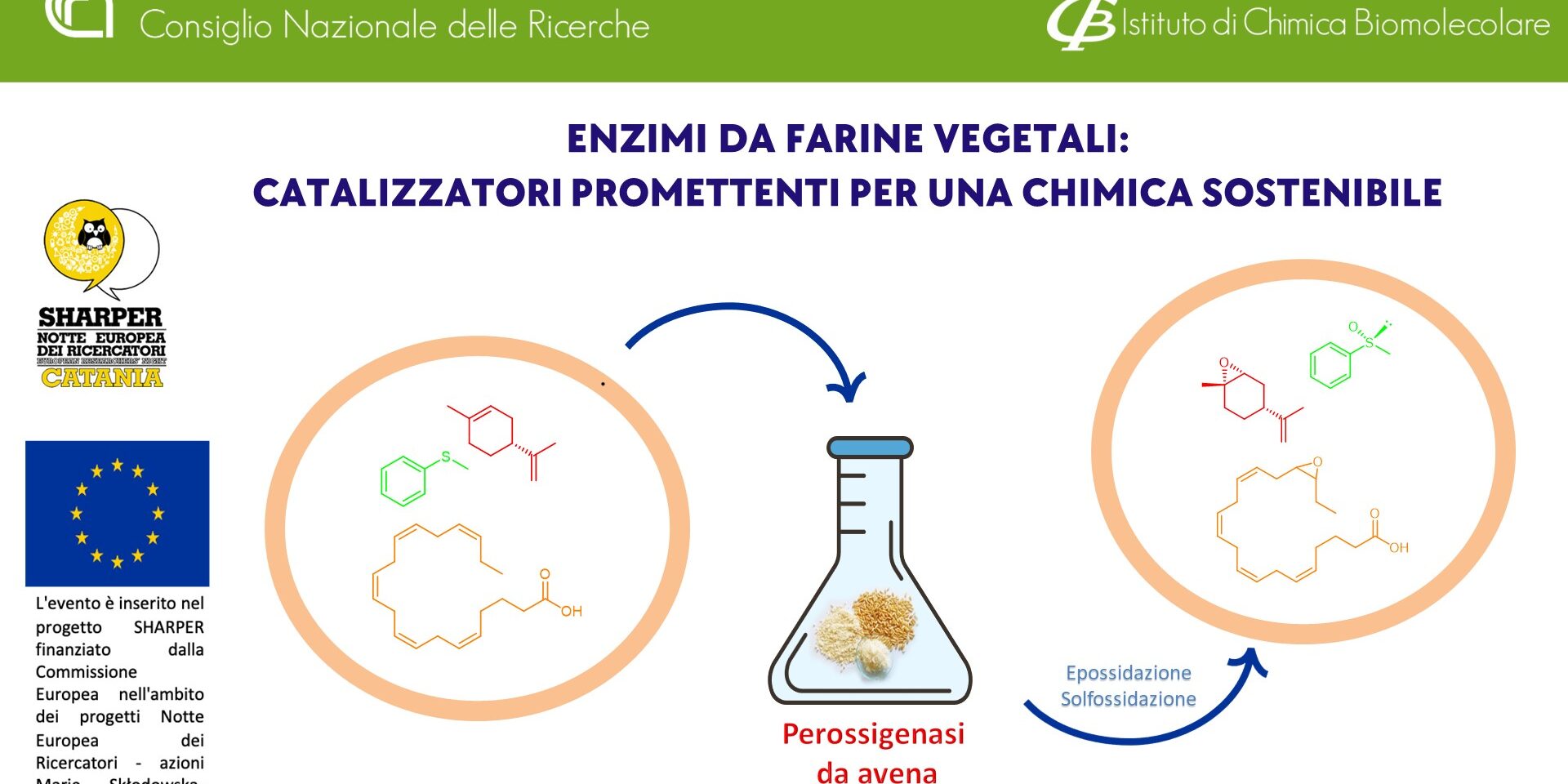 Enzimi da farine vegetali: catalizzatori promettenti per una chimica sostenibile