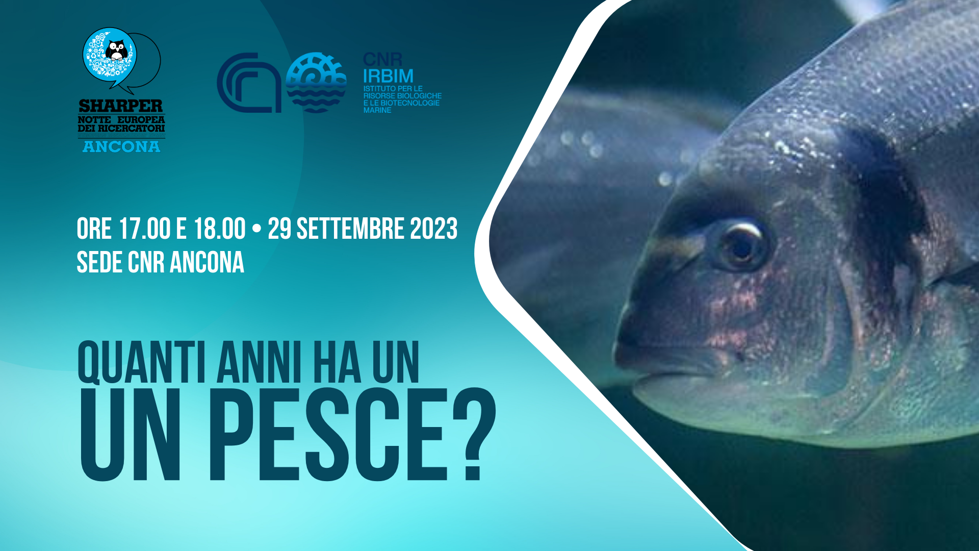 Quanti anni ha un pesce?