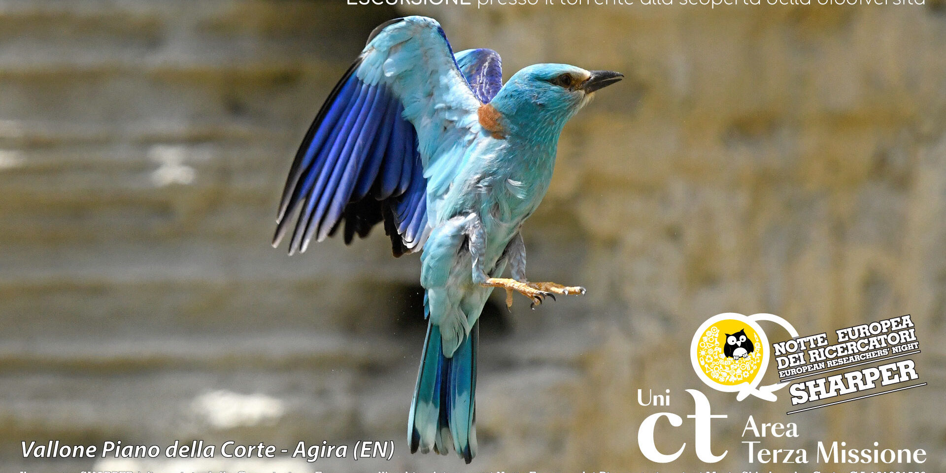 Sostenibilità e RNI Vallone di Piano della Corte: “escursione presso il torrente alla scoperta della biodiversità”