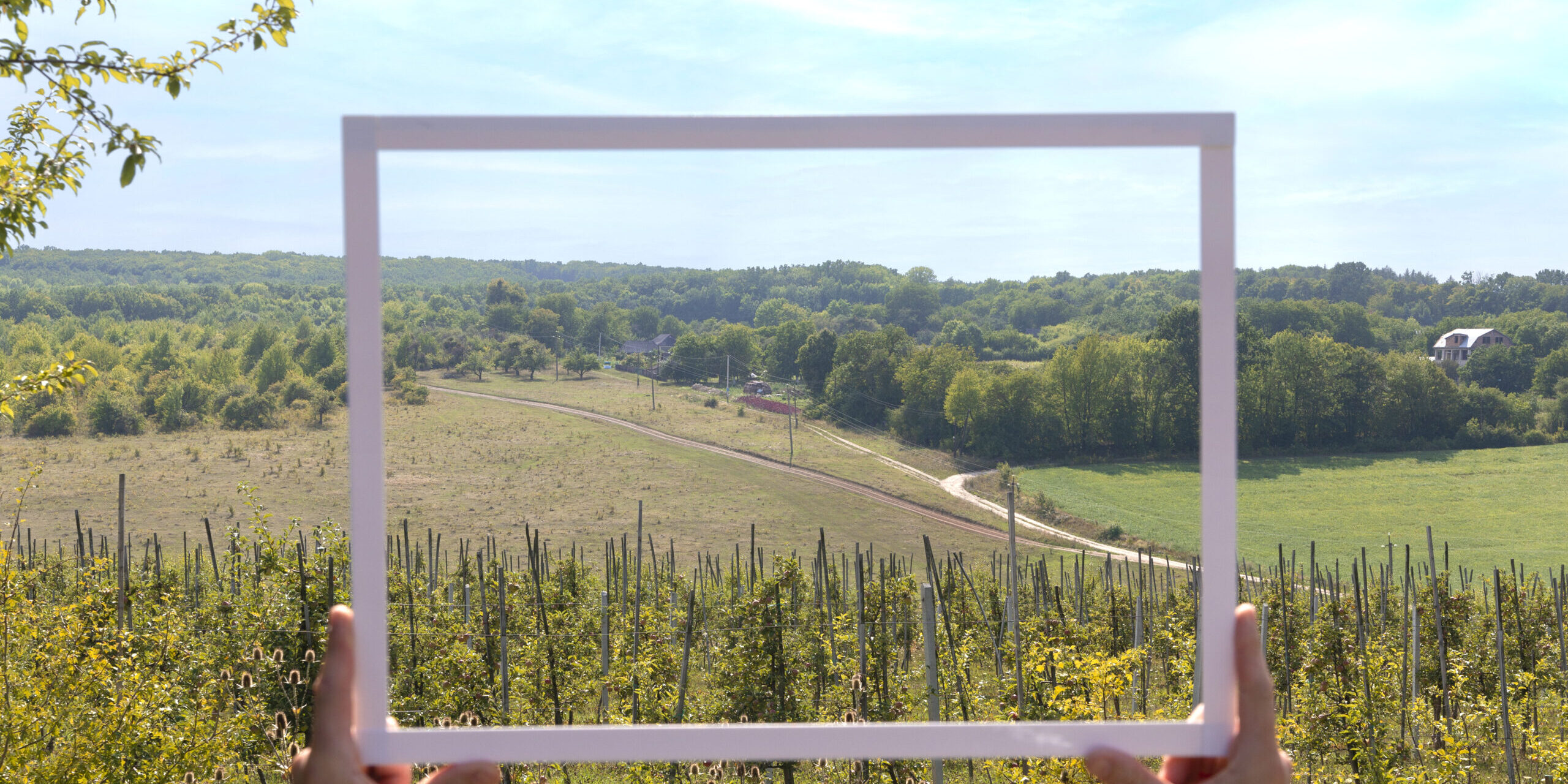 POV: L’INQUADRATURA FRA CINEMA E LETTERATURA