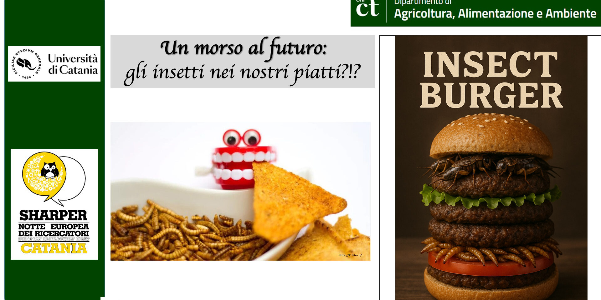 Un morso al futuro: gli insetti nei nostri piatti?