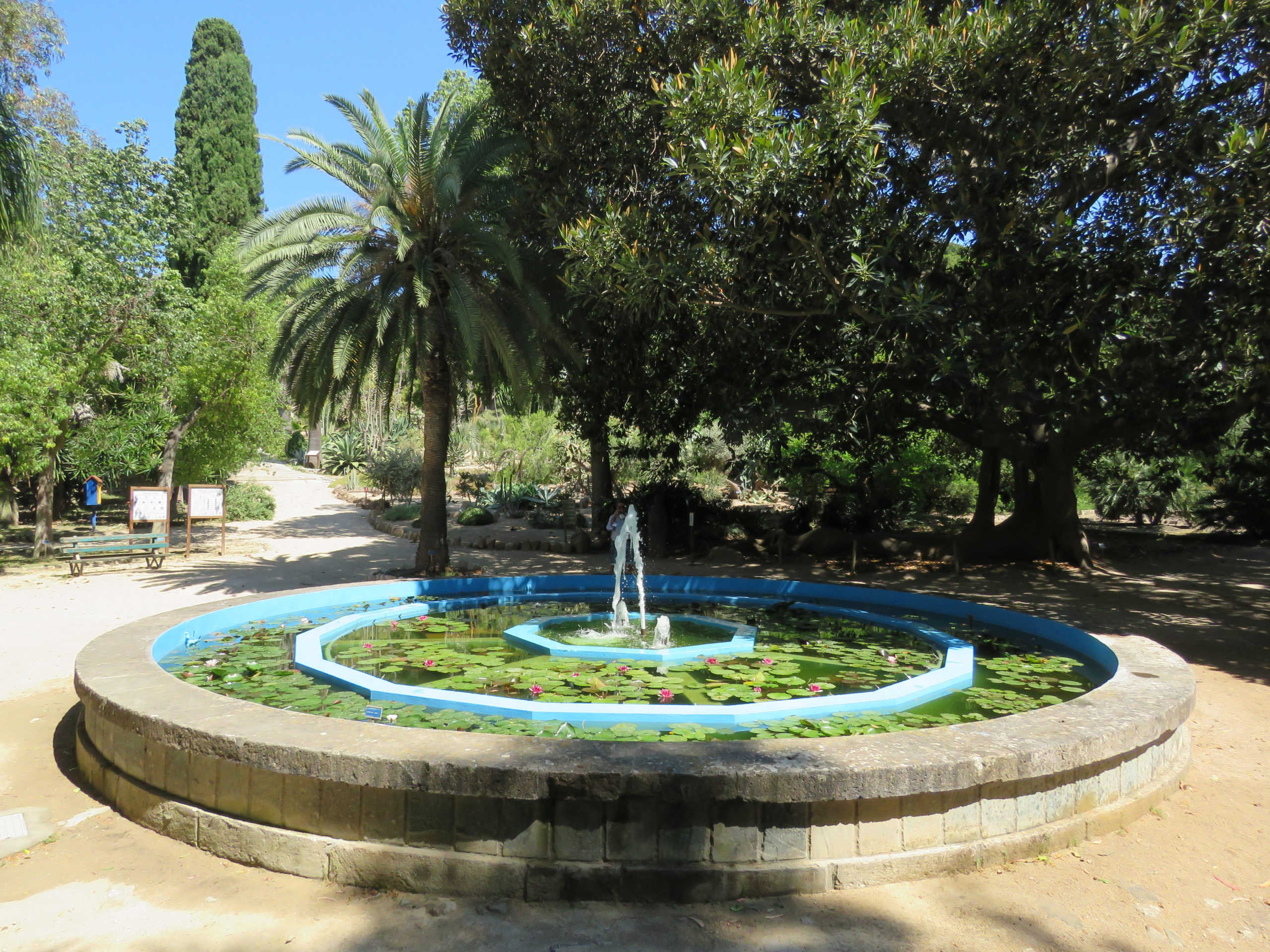 Orto Botanico di Cagliari HBK - Hortus Botanicus Karalitanus