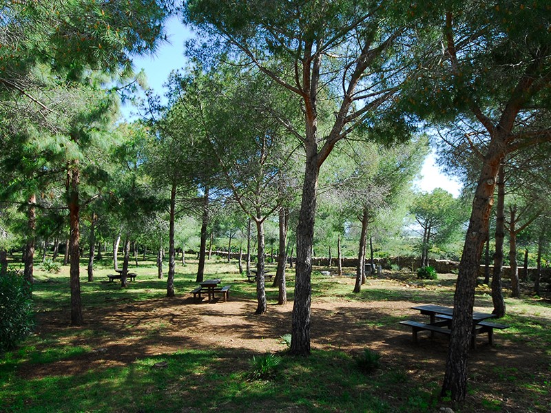 Parco Regionale di Porto Conte